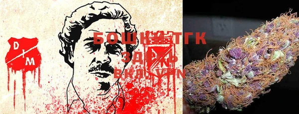 прущие крисы Верея