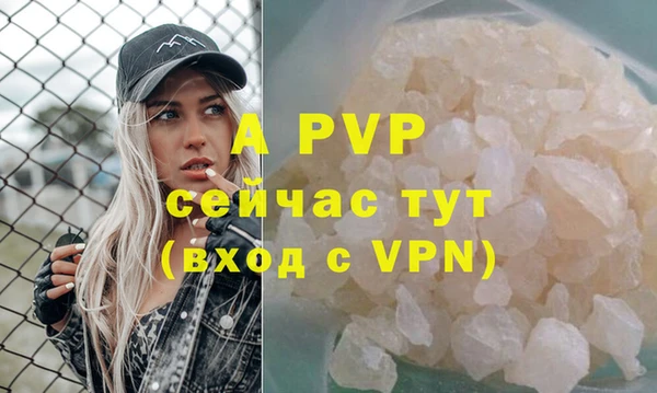 прущие крисы Верея
