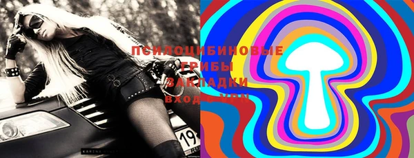 мдпв Верхний Тагил