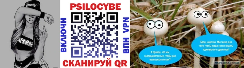 Галлюциногенные грибы Psilocybe  Купить закладки  Ладушкин 